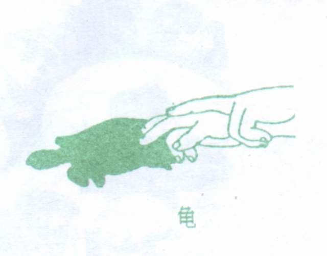 学前儿童数学教育活动的设计与指导 学前儿童数学教育活动的设计与指导